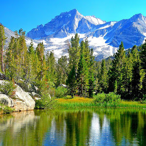 Meet your Posher, Dylan